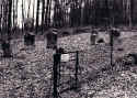 Laibach Friedhof01.jpg (192646 Byte)