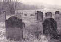 Laibach Friedhof1932.jpg (176203 Byte)