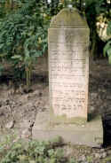 Dornum Friedhof 100.jpg (52555 Byte)