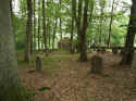 Altengronau Friedhof 142.jpg (125956 Byte)