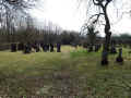 Hungen Friedhof 172.jpg (113449 Byte)
