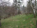 Rauischholzhausen Friedhof 153.jpg (108470 Byte)
