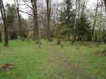 Seulberg Friedhof 166.jpg (114567 Byte)