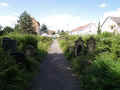 Mutterstadt Friedhof 151.jpg (89791 Byte)