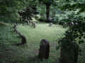 Hofgeismar Friedhof 168.jpg (114741 Byte)
