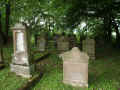Niedenstein Friedhof 160.jpg (112498 Byte)