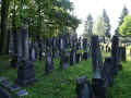 Bern Friedhof 178.jpg (117916 Byte)