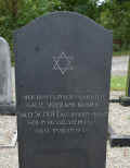 Bern Friedhof 0913.jpg (69918 Byte)