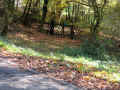 Hottenbach Friedhof 171.jpg (116114 Byte)