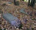 Schwarza Friedhof 251.jpg (131524 Byte)