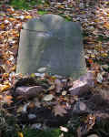 Schwarza Friedhof 253.jpg (122014 Byte)