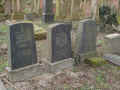 Gelnhausen Friedhof 201.jpg (112372 Byte)