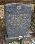 Heidelberg Friedhof 209124.jpg (125480 Byte)