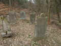 Erdmannrode Friedhof 174.jpg (131406 Byte)