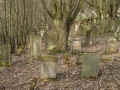 Nentershausen Friedhof 187.jpg (132099 Byte)