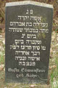 Richelsdorf Friedhof 173.jpg (105295 Byte)
