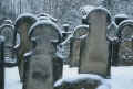 Crailsheim Friedhof 804.jpg (64654 Byte)