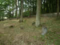 Ellar Friedhof 199.jpg (121625 Byte)
