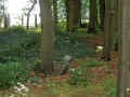 Runkel Friedhof 175.jpg (108503 Byte)