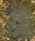 Herborn Friedhof 188.jpg (103763 Byte)