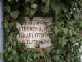 Gunzenhausen Friedhof 151.jpg (95411 Byte)