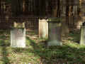 Kronberg Friedhof 430.jpg (111914 Byte)