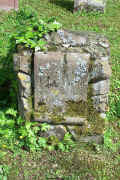 Ladenburg Friedhof 300311.jpg (152557 Byte)