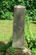 Ladenburg Friedhof 300312.jpg (142487 Byte)