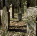 Creglingen Friedhof 801.jpg (321379 Byte)