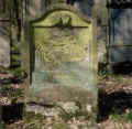 Creglingen Friedhof 804.jpg (320781 Byte)