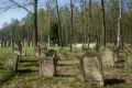 Creglingen Friedhof 821.jpg (508787 Byte)