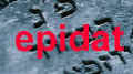 Epidat logo.jpg (7648 Byte)