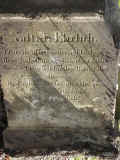 Plaue Friedhof 0423.jpg (171585 Byte)