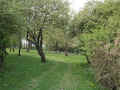 Immenrode Friedhof 163.jpg (220520 Byte)