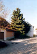 Siegelsbach Synagoge 152.jpg (61098 Byte)