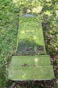 Neustadt-Goedens Friedhof 1104.jpg (193505 Byte)