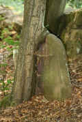 Altengronau Friedhof 492.jpg (80296 Byte)