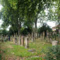 Neustadt adW Friedhof 12021.jpg (161203 Byte)