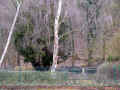 Oberlahnstein Friedhof a P1540258.jpg (316707 Byte)
