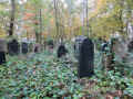 Boedigheim Friedhof 3434.jpg (300449 Byte)