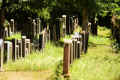Gross Gerau Friedhof 12010.jpg (249882 Byte)
