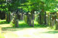 Gross Gerau Friedhof 12011.jpg (282604 Byte)