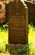 Gross Gerau Friedhof 12015.jpg (144570 Byte)