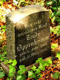 Gross Gerau Friedhof 12054.jpg (229631 Byte)