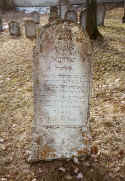 Harburg Friedhof 106.jpg (85739 Byte)