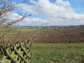 Goddelsheim Friedhof IMG_8644.jpg (212727 Byte)