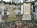 Warburg Friedhof IMG_8536.jpg (238312 Byte)