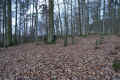 Harmuthsachsen Friedhof DSC05291.jpg (197571 Byte)