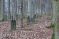 Harmuthsachsen Friedhof DSC05295.jpg (158862 Byte)
