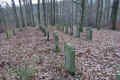 Harmuthsachsen Friedhof DSC05301.jpg (200391 Byte)